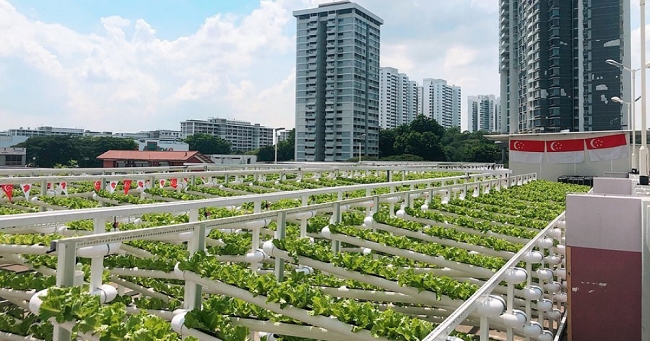 Làm gì để người dân các đô thị lớn an cư khi đại dịch chưa kết thúc? 3