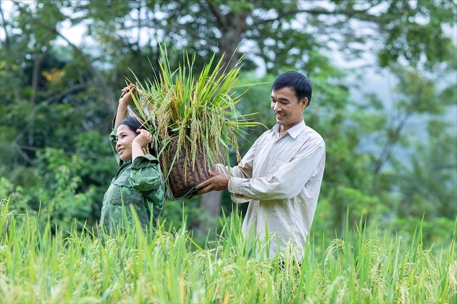 Bà đỡ của những cánh én kiên cường 3