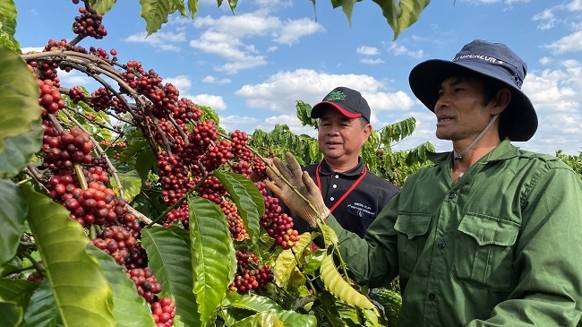 Quốc hội thông qua cơ chế đặc thù thí điểm cho TP. Buôn Ma Thuột