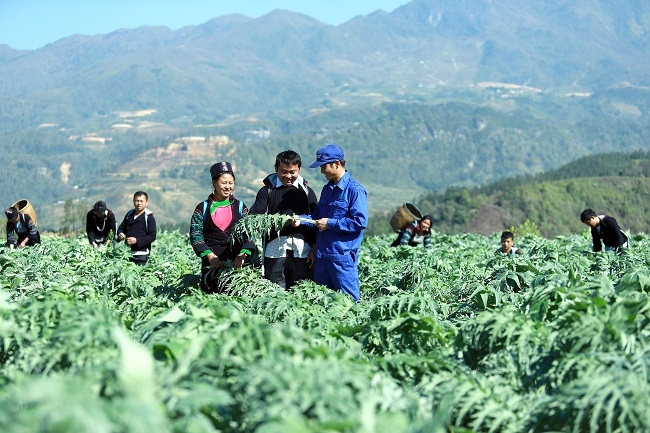 Khát vọng kiến tạo kỷ nguyên xanh của Traphaco