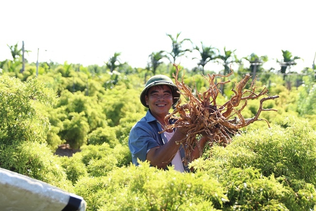 Khát vọng kiến tạo kỷ nguyên xanh của Traphaco 1