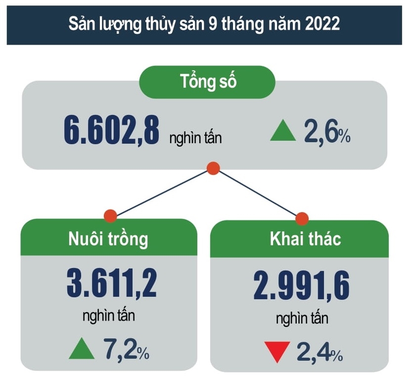 ‘Bóc tách’ bức tranh kinh tế 9 tháng đầu năm 2022 4