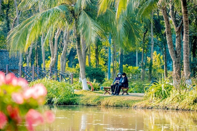 Người già sống lâu, sống khoẻ, sống trẻ, sống vui trong đại đô thị xanh lớn nhất miền Bắc 6