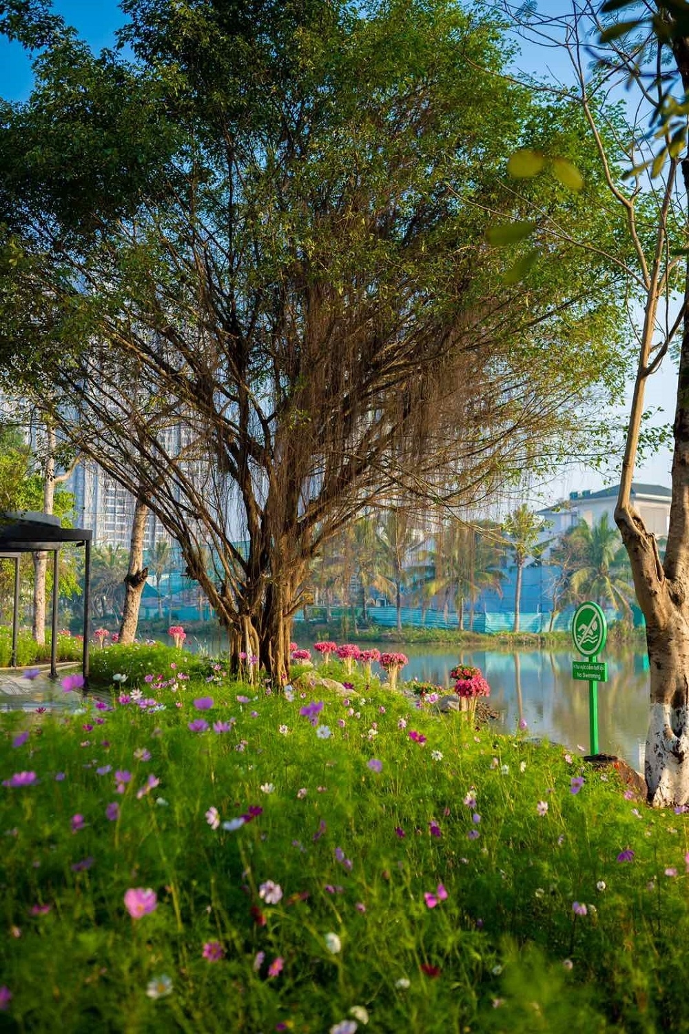 Ecopark đưa vào hoạt động cung đường dạo bộ đẹp nhất miền Bắc 8