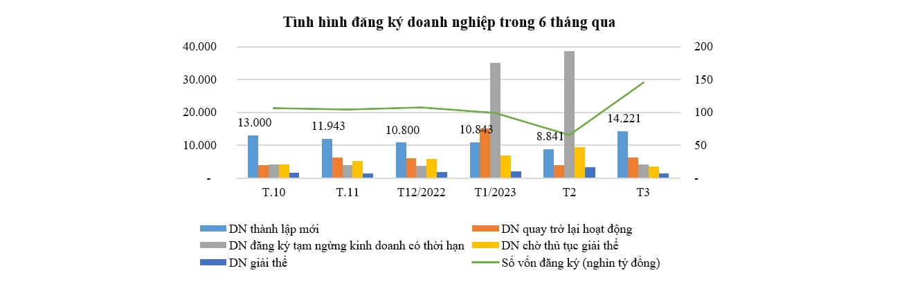 Toàn cảnh quý I 6