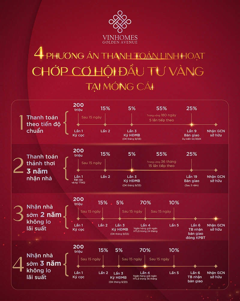 'Bàn tay vàng Midas' biến Móng Cái thành 'cửa ngõ mở ra thế giới' 2