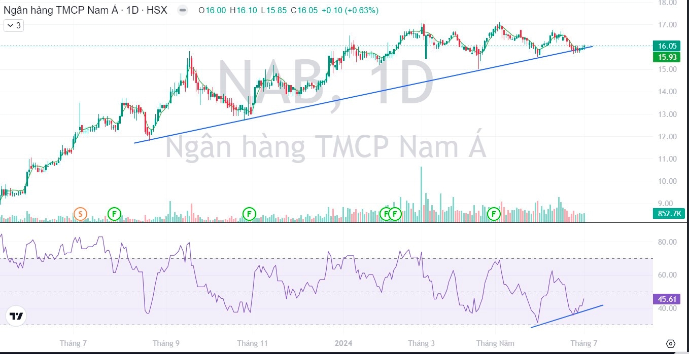 Lợi nhuận dự kiến tạo đỉnh mới, Nam A Bank chia cổ tức tới 25%