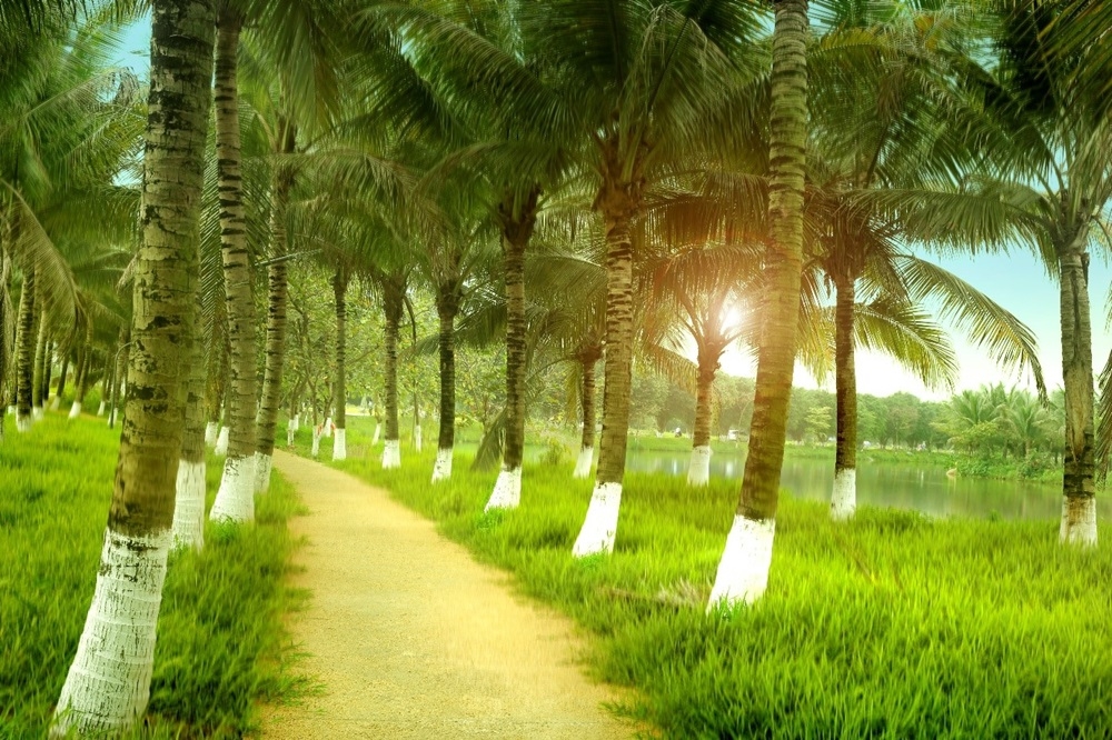 'Phải lòng' Ecopark 3