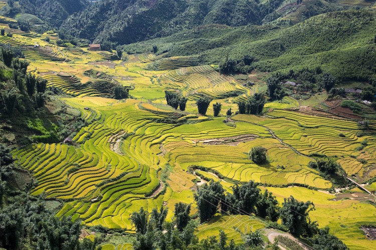 Hoàng Liên Sơn: Điểm đến hấp dẫn nhất thế giới năm 2019 1