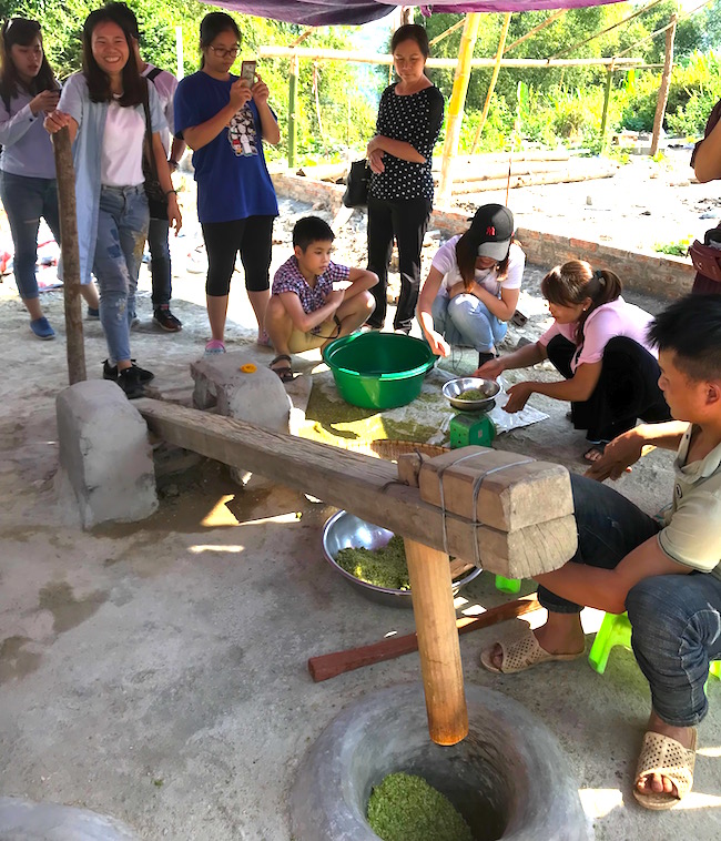 Nếp Tú Lệ, chè Suối Giàng, ruộng bậc thang và 'mỏ vàng' Mù Căng Chải 1