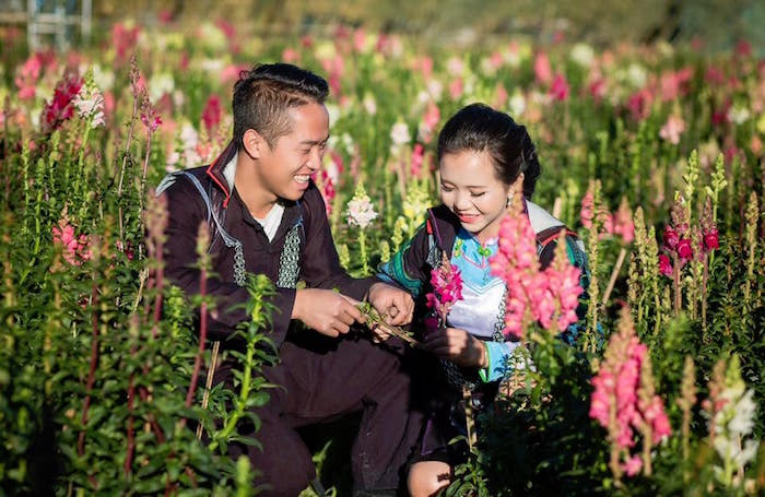 Hà Nội nóng như mùa hè, đỉnh Fansipan băng phủ trắng 3