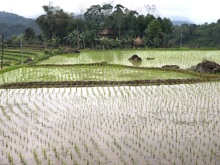 Pù Luông: Vẻ đẹp dung dị còn say ngủ 6