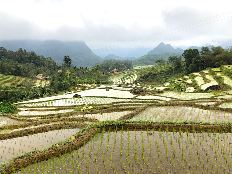 Pù Luông: Vẻ đẹp dung dị còn say ngủ 2