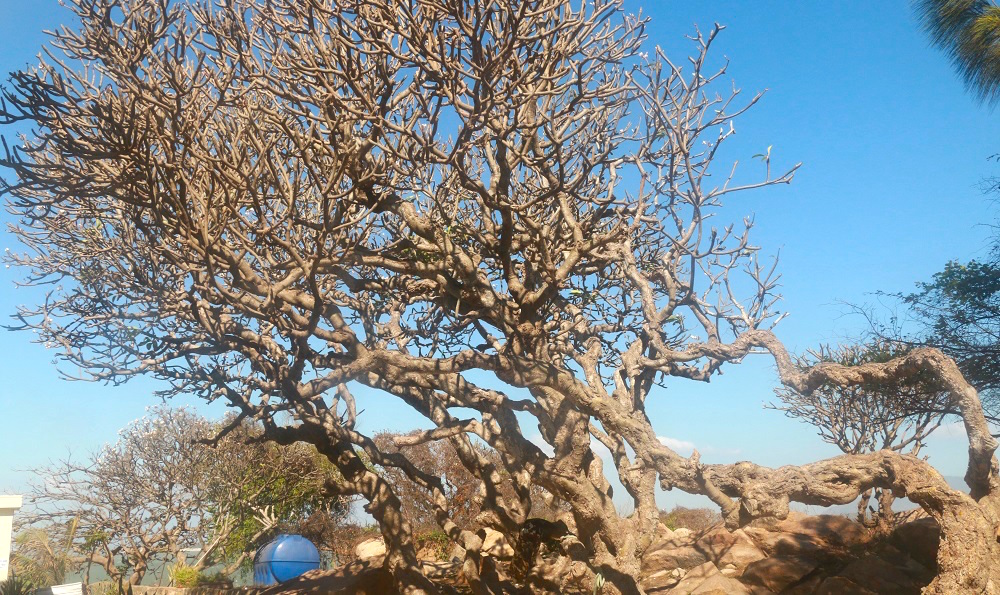 Nhật ký hành trình du lịch mùa dịch Covid-19: Ba điểm kỳ thú ở Phan Thiết 2