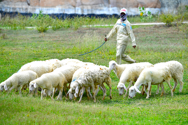 Ninh Thuận: Vùng đất TNT và BCD 3