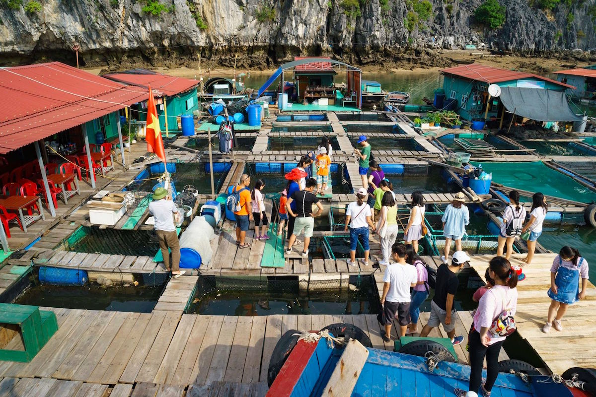 10 điều thú vị khiến du khách thích khám phá vịnh Lan Hạ hơn vịnh Hạ Long 12