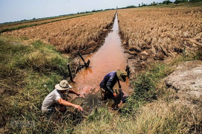 Tập trung nguồn lực đầu tư phát triển đồng bằng sông Cửu Long 1