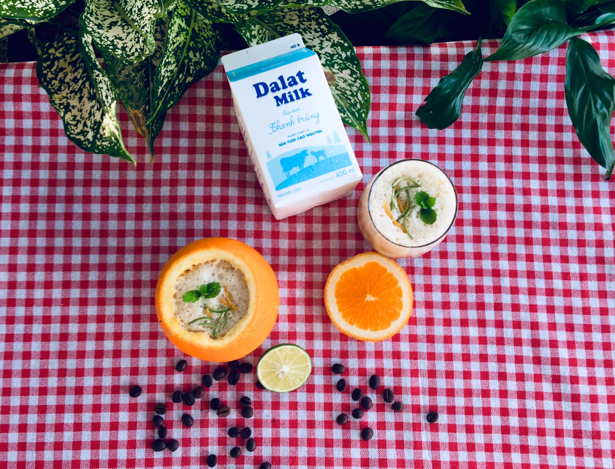 Mách bạn những công thức pha chế “bất bại” chuẩn nhà hàng với sữa tươi Dalatmilk 1