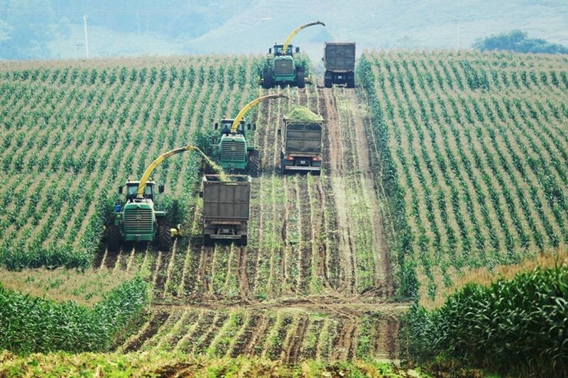 Trang trại bò sữa tốt nhất Việt Nam: Tiên phong mở lối cho ngành chăn nuôi công nghệ cao 1
