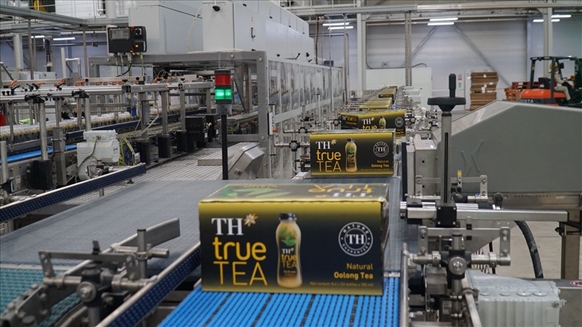 TH true TEA: Tinh túy trà tự nhiên từ quy trình sản xuất ưu việt 2