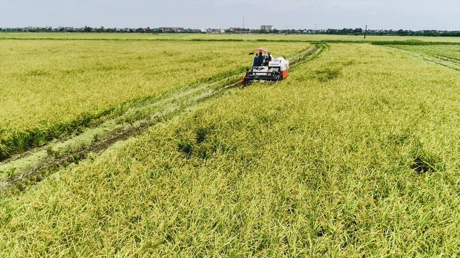 Tập đoàn TH động thổ Nhà máy Chế biến thực phẩm sạch Thái Bình 3