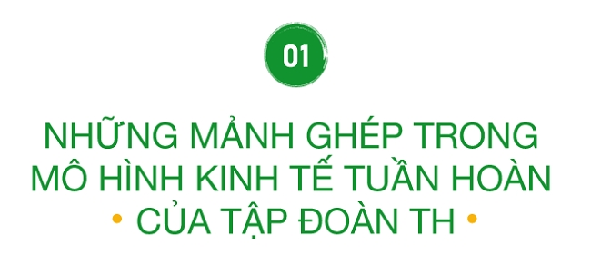 Kinh tế tuần hoàn và trái ngọt từ hành trình “gian khó nhưng đầy kiêu hãnh và ngọt ngào” của tập đoàn TH 1