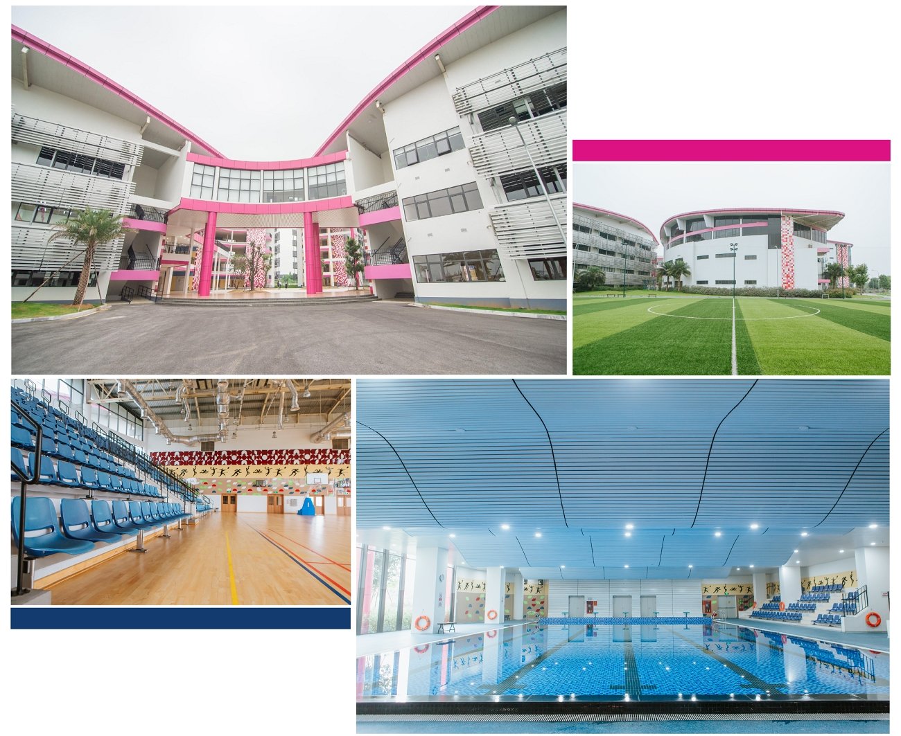 Khát vọng giáo dục của nhà sáng lập TH School 8