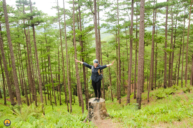 Trekking Tà Năng – Phan Dũng: Cung đường không dành cho những người yếu đuối 6