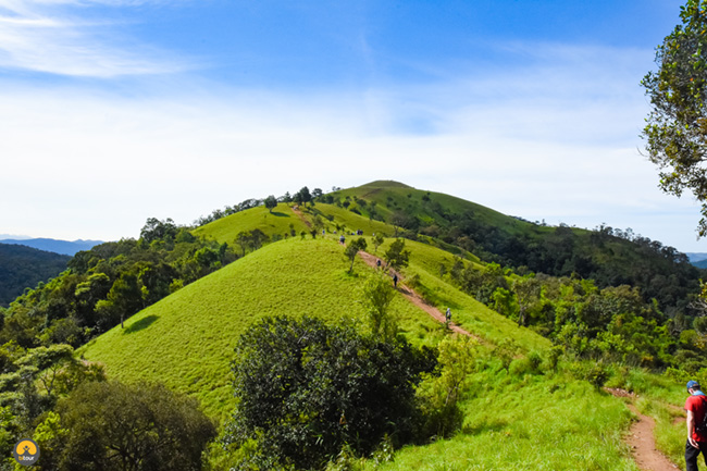 Trekking Tà Năng – Phan Dũng: Cung đường không dành cho những người yếu đuối 8