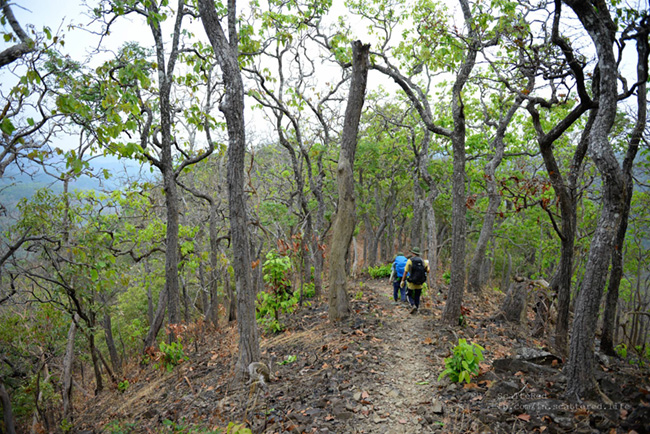 Trekking Tà Năng – Phan Dũng: Cung đường không dành cho những người yếu đuối 20