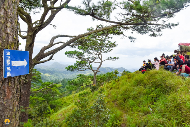 Trekking Tà Năng – Phan Dũng: Cung đường không dành cho những người yếu đuối 12