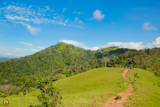 Trekking Tà Năng – Phan Dũng: Cung đường không dành cho những người yếu đuối 13