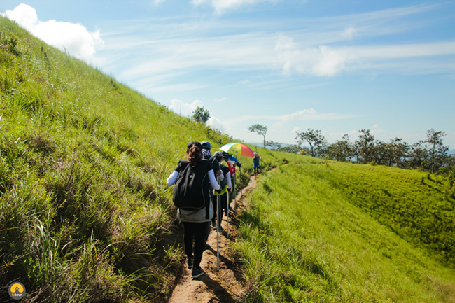 Trekking Tà Năng – Phan Dũng: Cung đường không dành cho những người yếu đuối 19