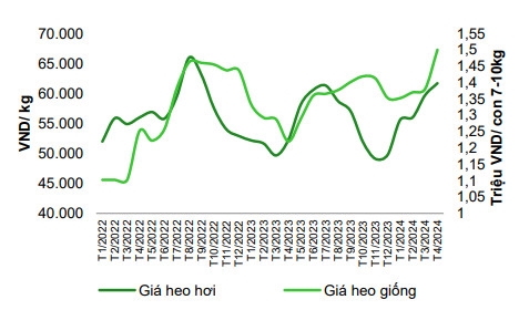 Dabaco huy động gần 2.700 tỷ đồng để tăng năng lực sản xuất