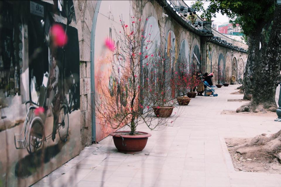 Xuân về trên phố 2