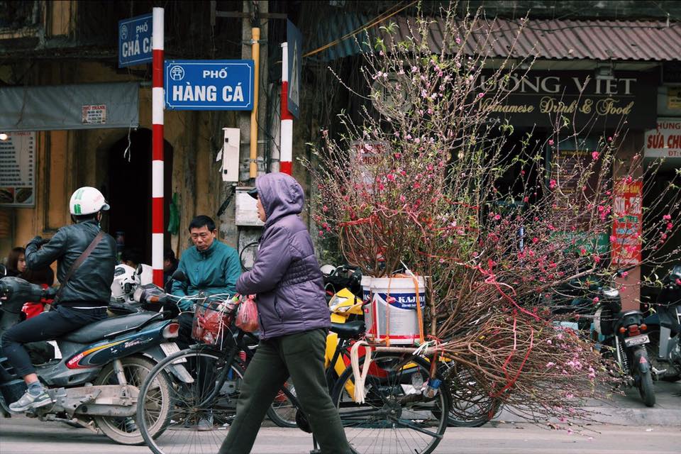 Xuân về trên phố 6