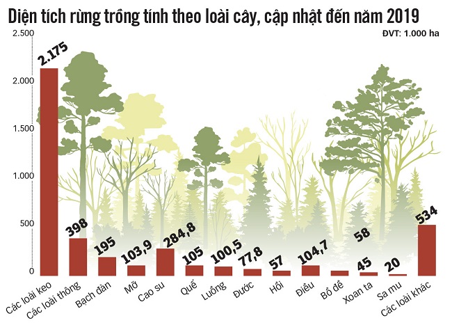 Hậu dịch càng biết yêu cây và trân quý môi trường sống