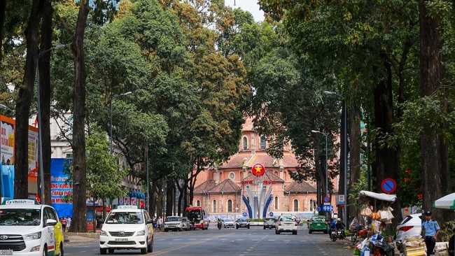 Hậu dịch càng biết yêu cây và trân quý môi trường sống 2