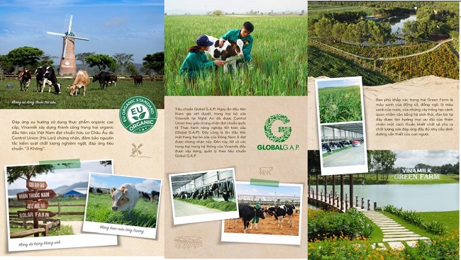 Hành trình Vinamilk xây dựng hệ thống 13 trang trại chuẩn quốc tế khắp Việt Nam  8