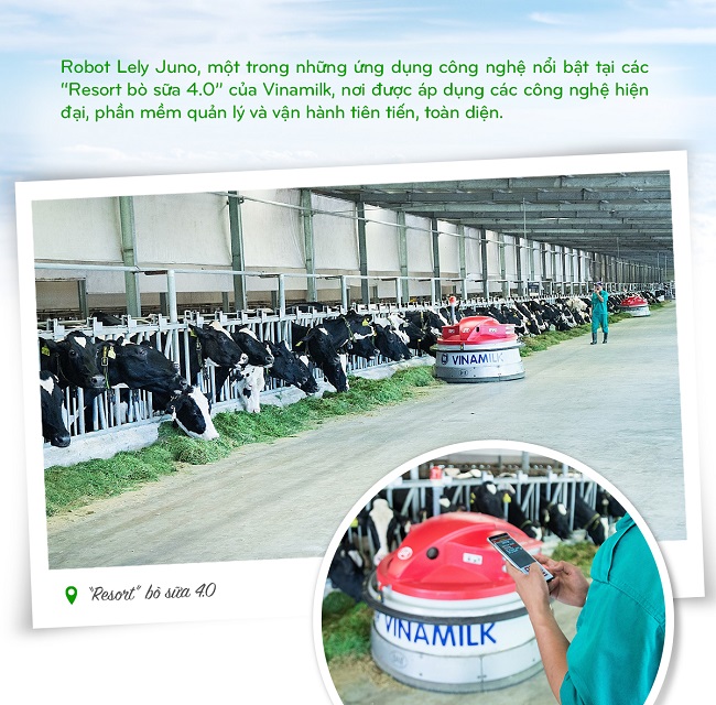 Hành trình Vinamilk xây dựng hệ thống 13 trang trại chuẩn quốc tế khắp Việt Nam  6