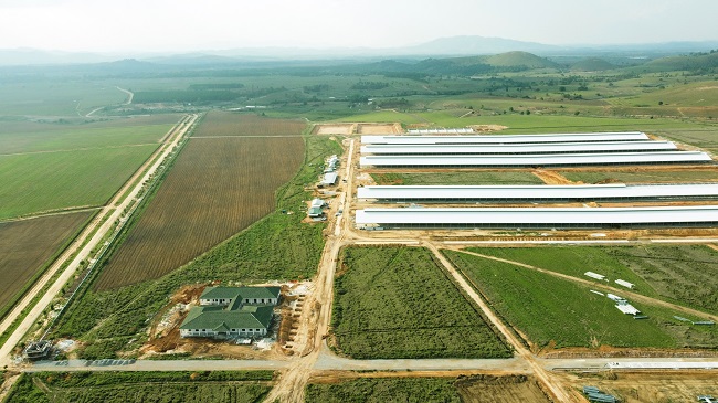 Vinamilk thuộc top 10 doanh nghiệp niêm yết tốt nhất 2021 1