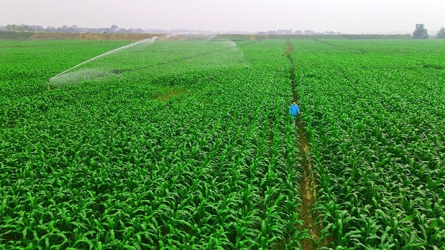 Vinamilk Green Farm: Một dấu ấn rõ nét của ngành sữa Việt Nam trên hành trình phát triển bền vững 7