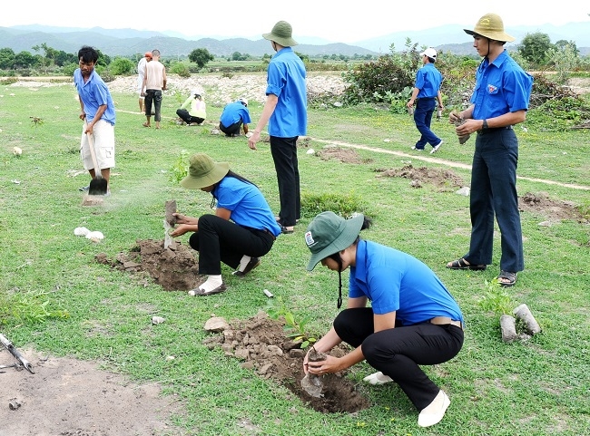 Phủ xanh đô thị tại Bình Thuận: Đã có doanh nghiệp tiên phong đồng hành 1