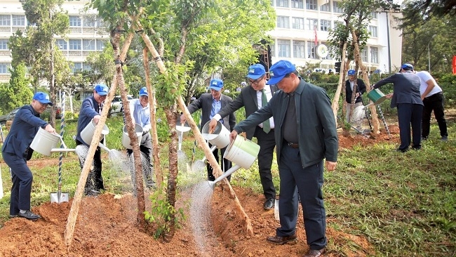 Phủ xanh đô thị tại Bình Thuận: Đã có doanh nghiệp tiên phong đồng hành 2