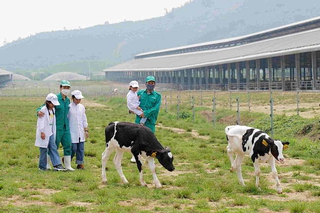 Những khoảnh khắc đẹp trên hành trình của Quỹ sữa Vươn cao Việt Nam năm thứ 15 4