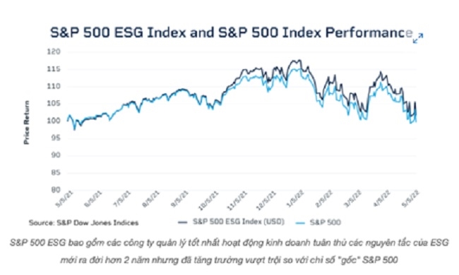 Đầu tư ESG: Thế giới đang sôi sục, nhà đầu tư Việt đã hiểu đến đâu? 2