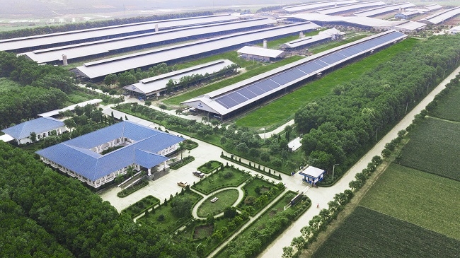 Vinamilk 10 năm liền góp mặt trong Top 50 doanh nghiệp niêm yết tốt nhất của Forbes Việt Nam 4