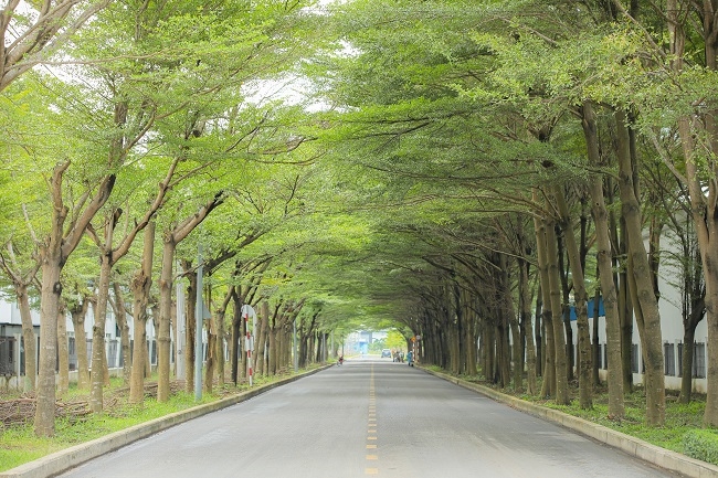 Khu công nghiệp Thành Thành công: Triển vọng sáng của khu công nghiệp trọng điểm tỉnh Tây Ninh 2