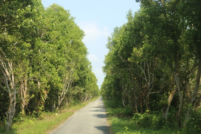 Du lịch Hậu Giang "Ố là là..." 6