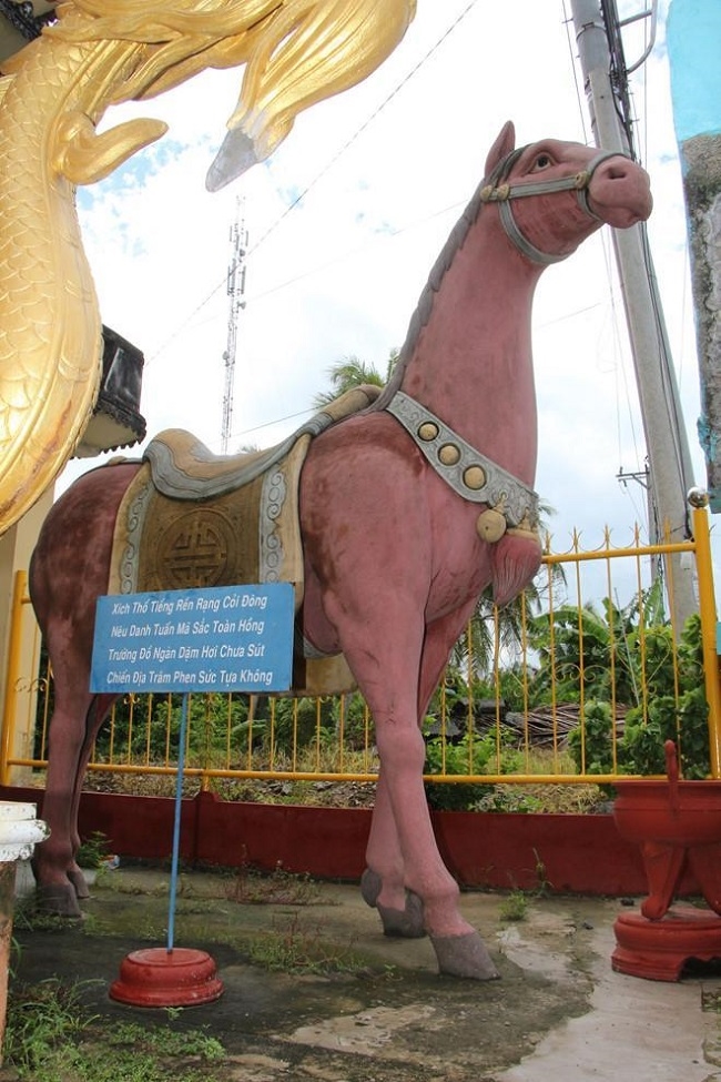 Du lịch Hậu Giang "Ố là là..." 8